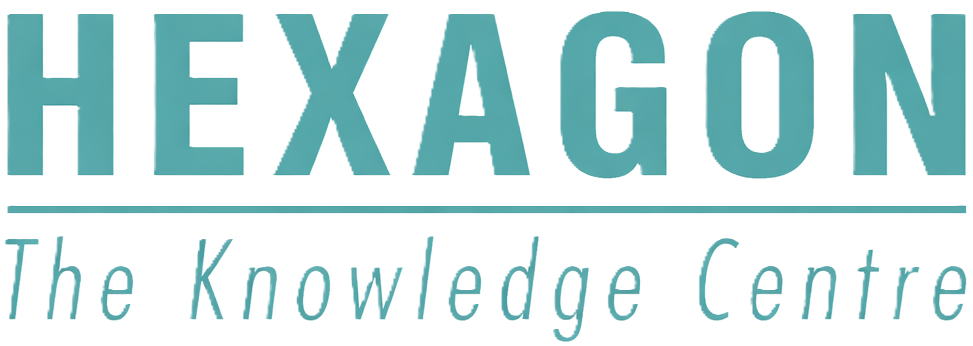 Hexagon Product Development Pvt Ltd